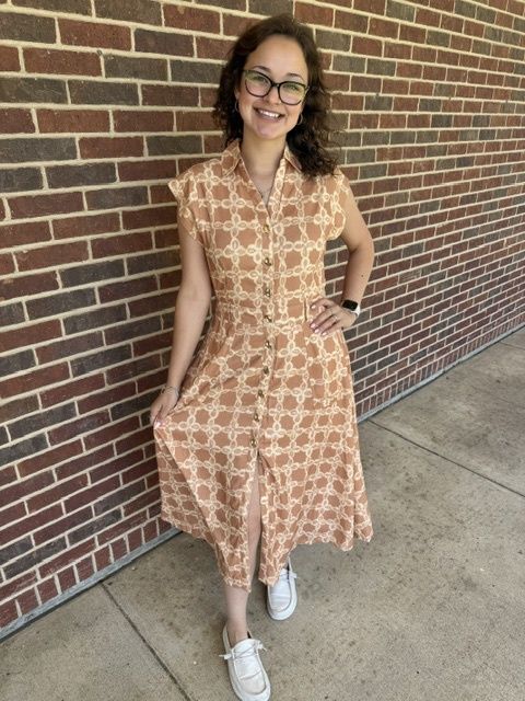 Jana Midi Dress, Color: Tan Multi, Size: extra small