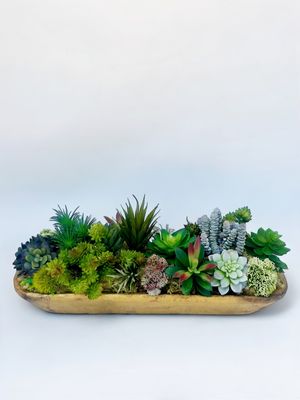 The Succulent Life
