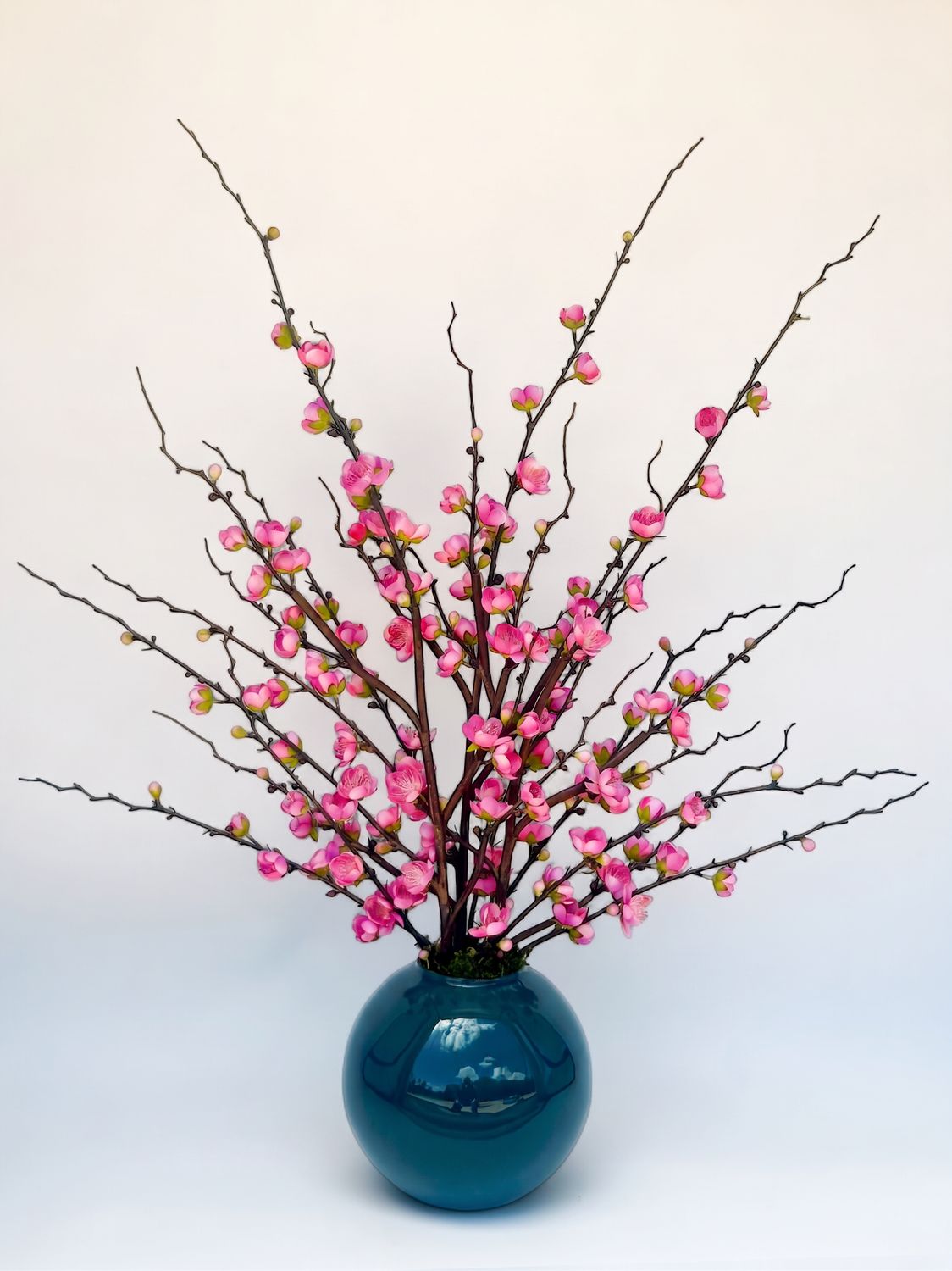 Branching Out