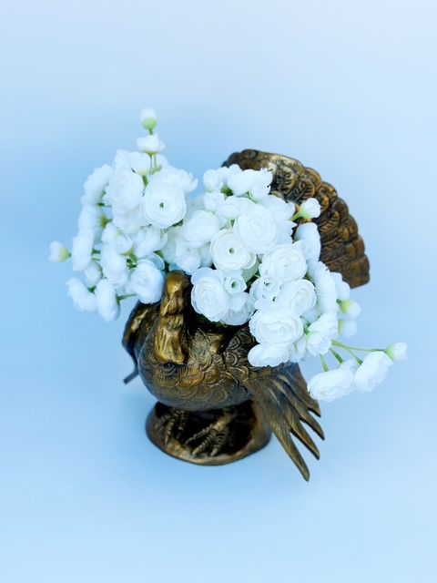 Feather and Bloom