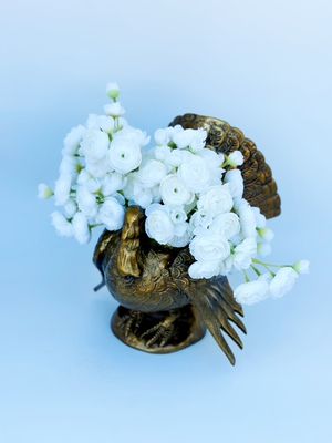 Feather and Bloom