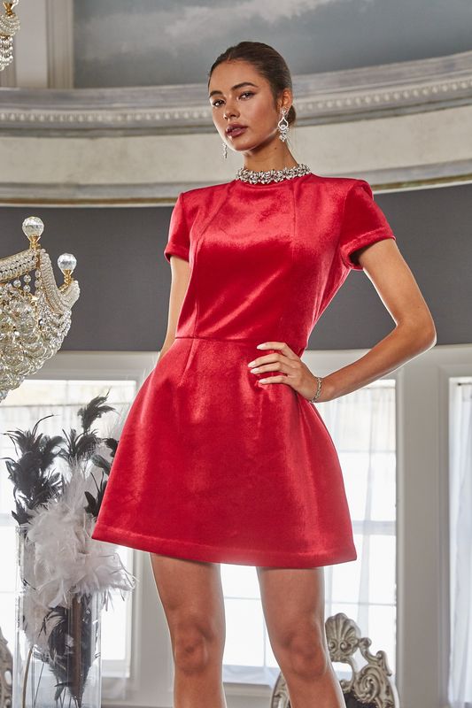 Alicia Mini Dress