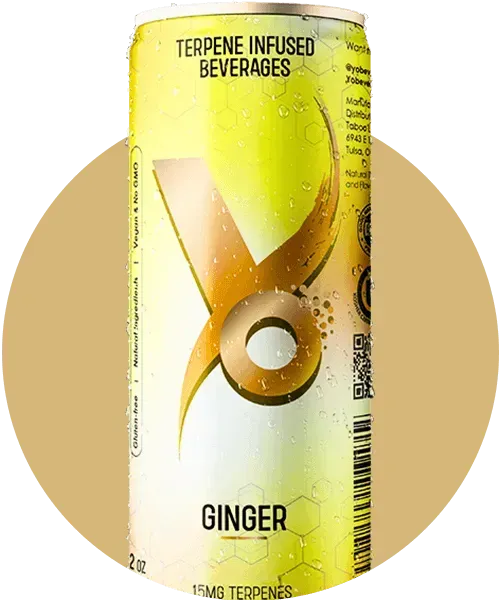 Ginger Beer - 15mg Terpenes
