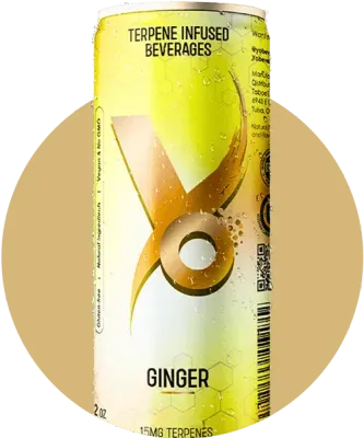 Ginger Beer - 15mg Terpenes