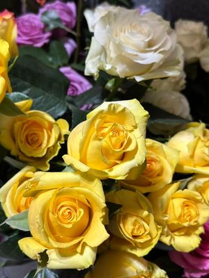 Executive Blooms