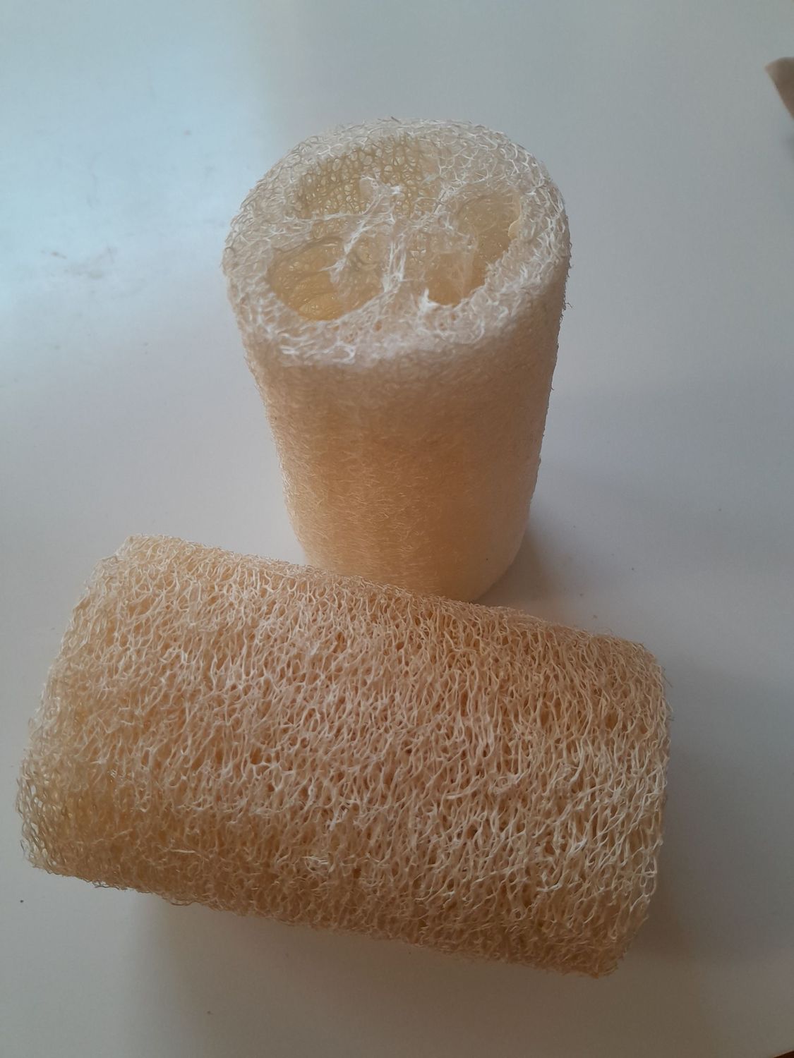 Luffa - Schwamm