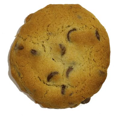 Classic Chocolate Chip Coolie
