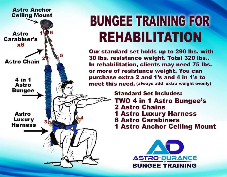 Rehab Pro Bungee System