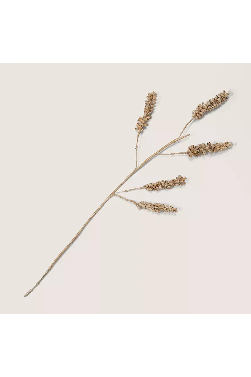 Planta decorative cereal 5-stem
