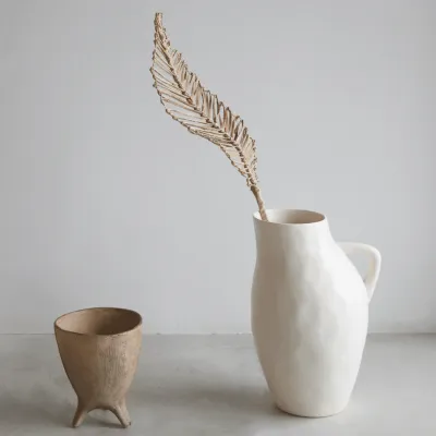 Planta decortive - loco