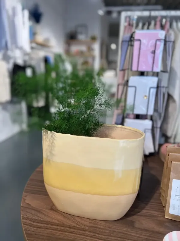 Vaas Earth Yellow