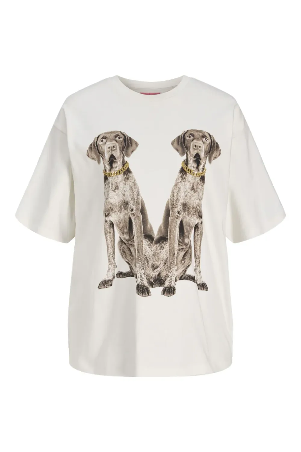 JXOLIVIA LOOSE PRINT SS TEE JRS	Cloud Dancer DOGS	12290299