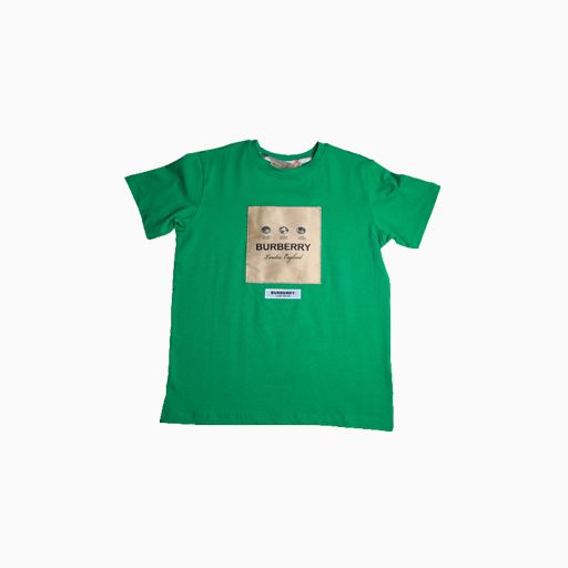 Burberry Children Summer T-shirt for Boy Green