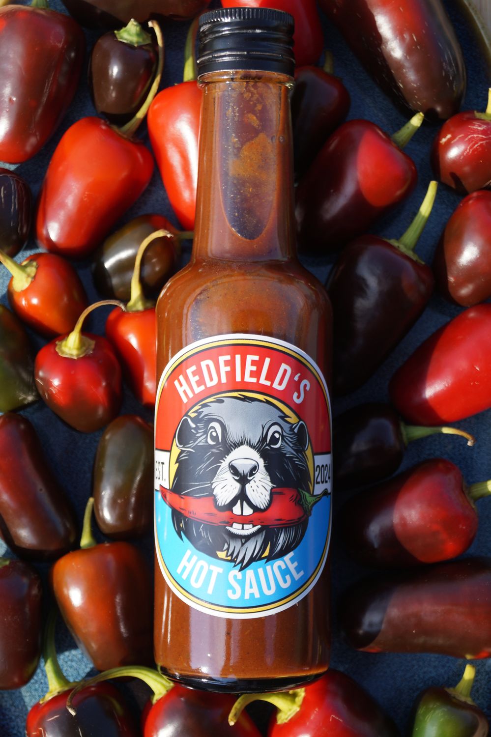 Jalapeno &amp; Bier Chilisauce (Jalapeno mit Bier, Ancho und Cayenne)