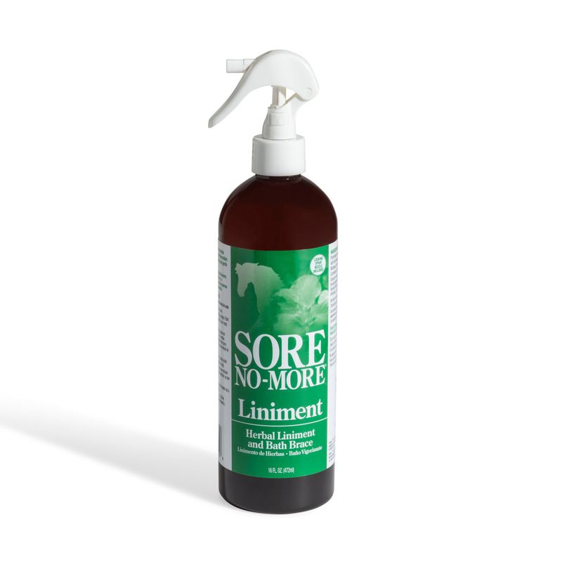SORE NO-MORE LINIMENT W/SPRAYER 16 OZ.