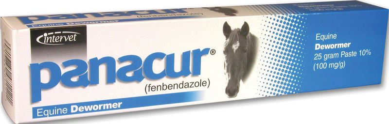 PANACUR EQUINE PASTE HORSE DEWORMER 25 GM