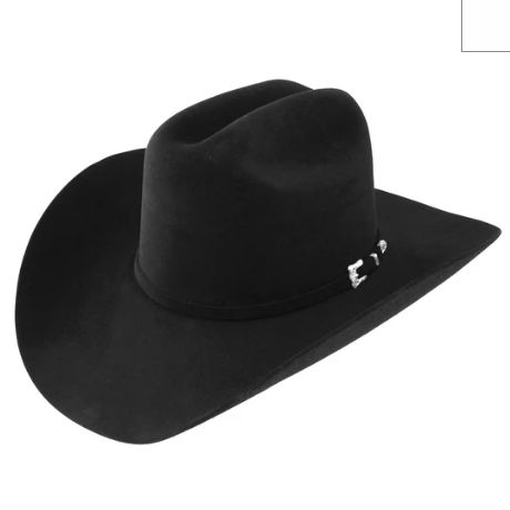 RESISTOL 20X BLACK GOLD COWBOY HAT