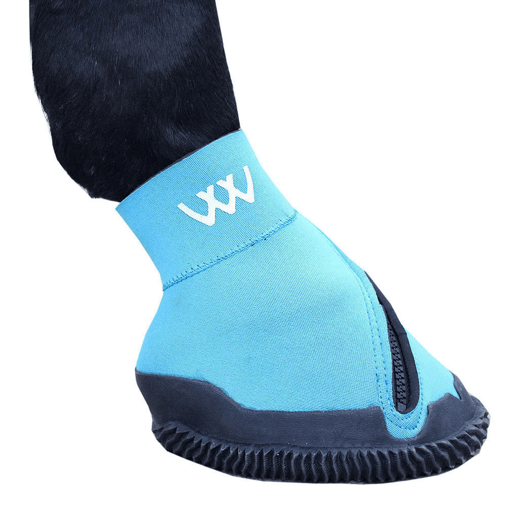 NEW MEDICINE HOOF BOOT