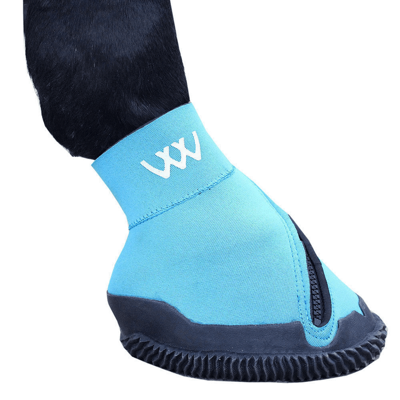 NEW MEDICINE HOOF BOOT