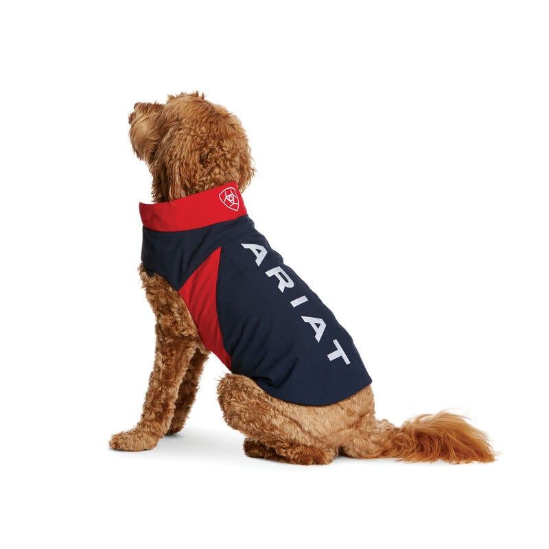 Team SoftShell Dog Jacket