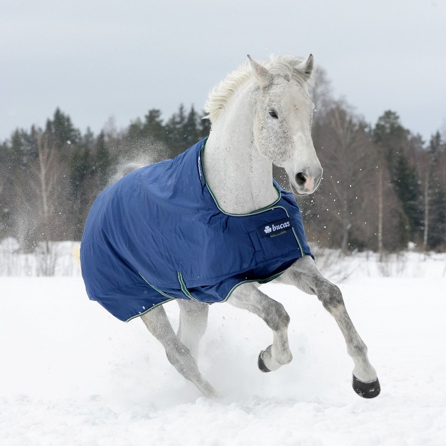 SMARTEX TURNOUT