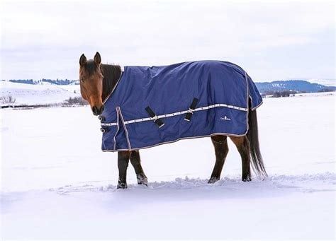 CLASSIC EQUINE 10K CROSS TRAINER WINTER BLANKET