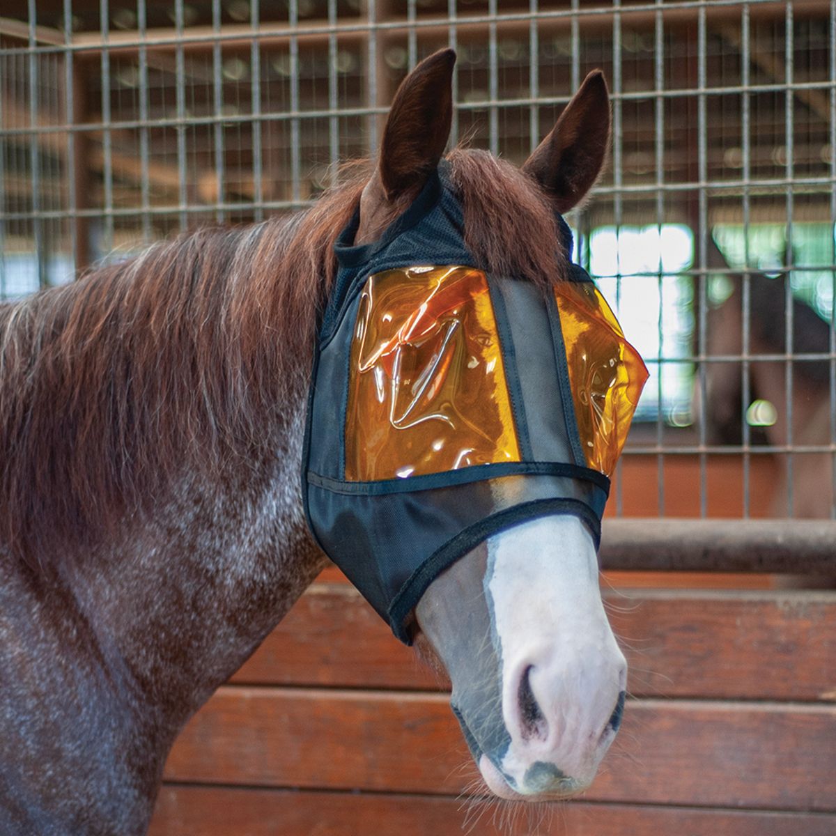 REM- RESTORATION EQUINE MASK