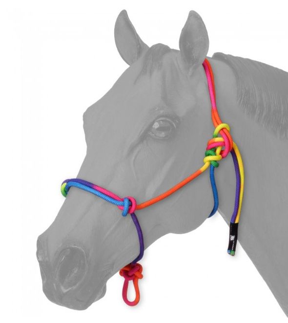 TOUGH 1 MINIATURE RAINBOW ROPE HALTER