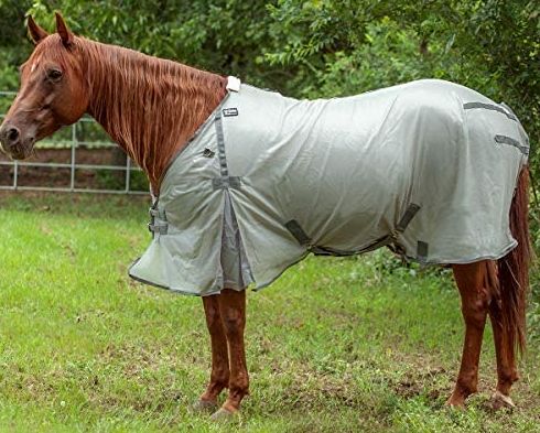 CASHEL ECONOMY FLY SHEET