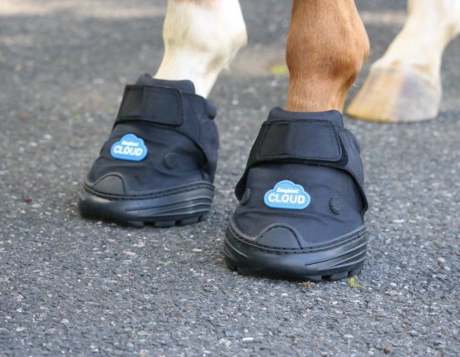 EASYBOOT CLOUD