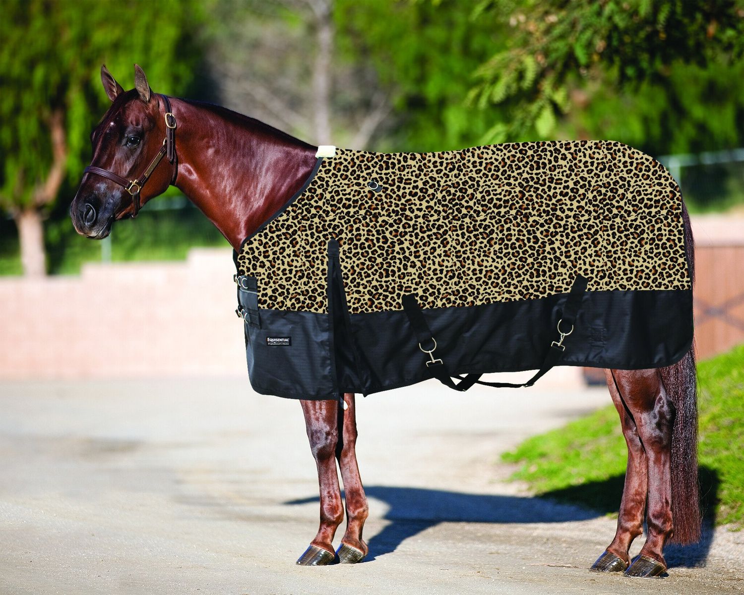 PROFESSIONAL CHOICE EQUISENTIAL 600D WINTER BLANKET