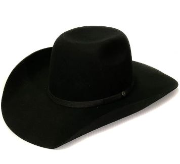 RESISTOL HOOEY DAY MONEY BLACK FELT HAT