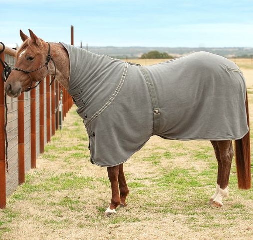 CLASSIC EQUINE ECONO POLAR FLEECE COOLER