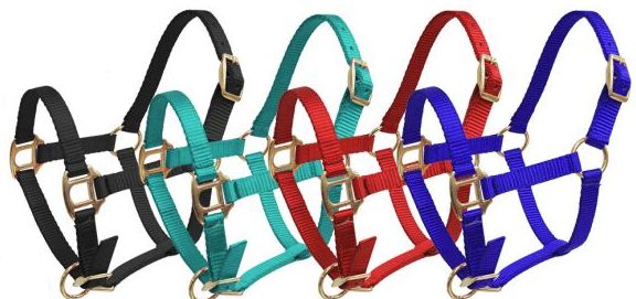 SHOWMAN PREMIUM NYLON HALTER FOAL/MINI SIZE