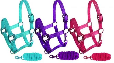 SHOWMAN PONY TRIPLE PLY NYLON HALTER AND LEAD ROPE