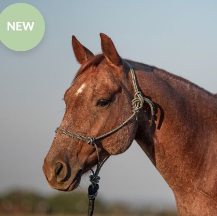 CLASSIC EQUINE ROPE HALTER AND 9-FOOT LEADROPE