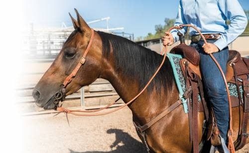 PROFESSIONAL CHOICE HARNESS LEATHER ROMAL REINS WITH WATERLOOPS
