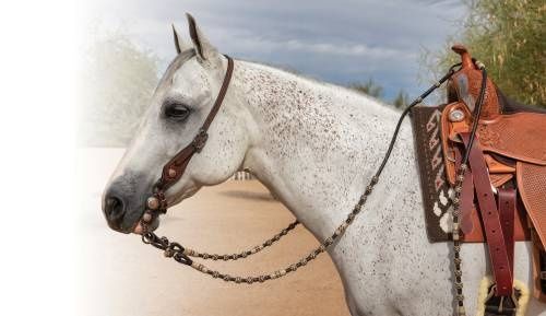 PROFESSIONAL CHOICE RAWHIDE ROMAL REINS