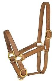 PROFESSIONAL CHOICE TURN OUT HALTER