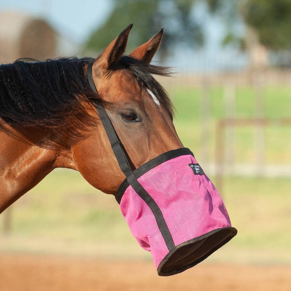 CASHEL FEED RITE BAG