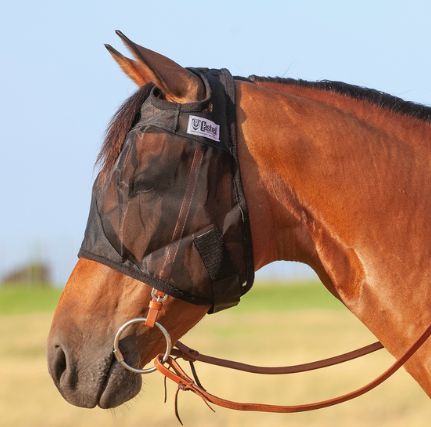 CASHEL QUIET RIDE FLY MASK, STANDARD NO EARS
