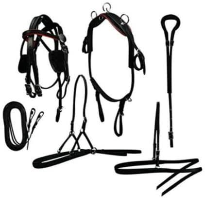 RESISTANCE LEATHER DRIVING HARNESS