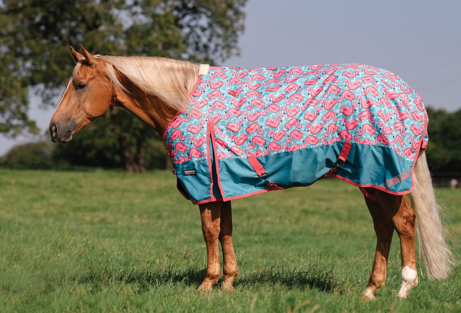 EQUISENTIAL 600D WINTER TURNOUT BLANKET