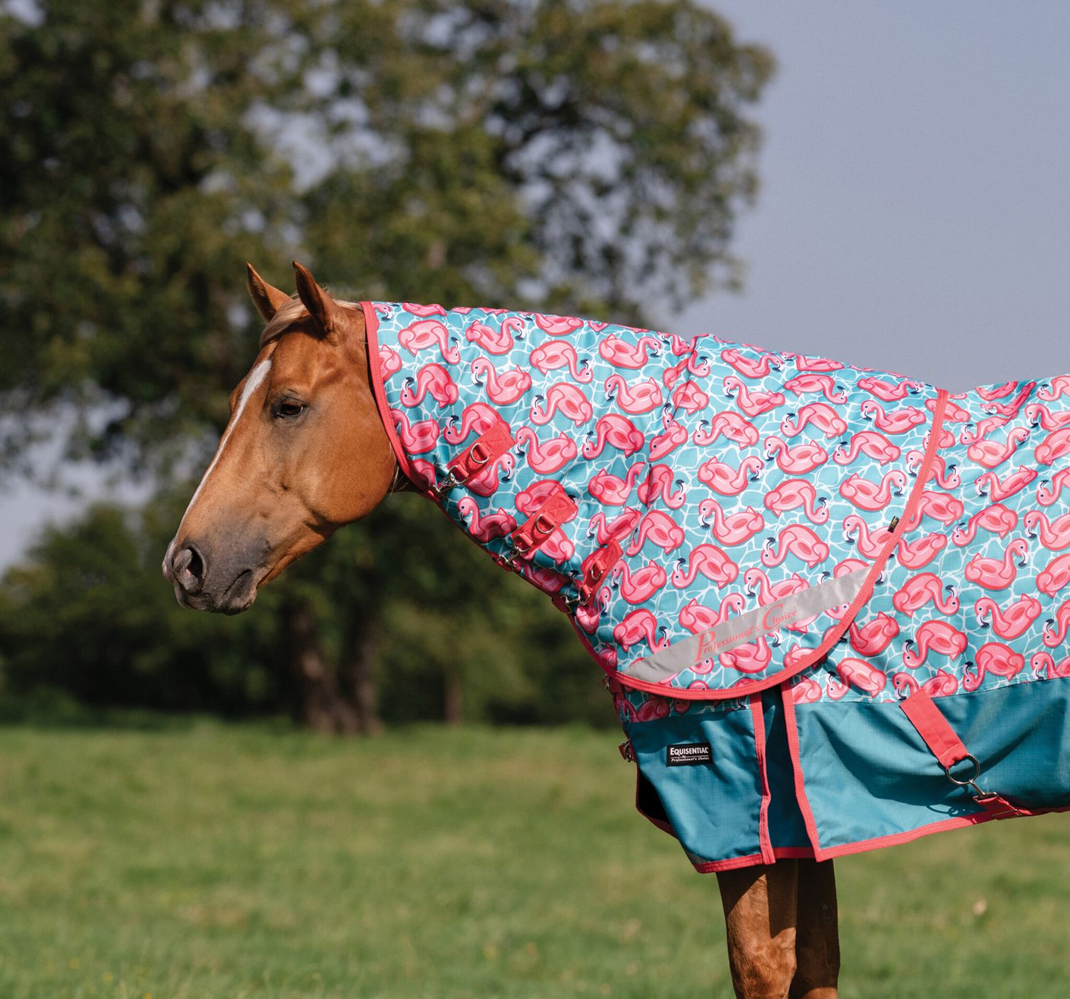 EQUISENTIAL 600D NECK COVER