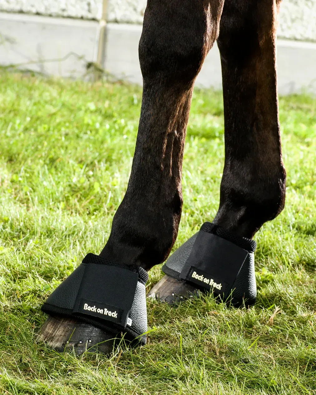 BACK ON TRACK BELL BOOTS- CLASSIC DESIGN