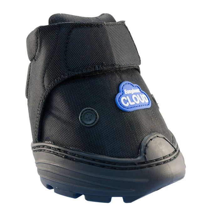 EASYBOOT CLOUD