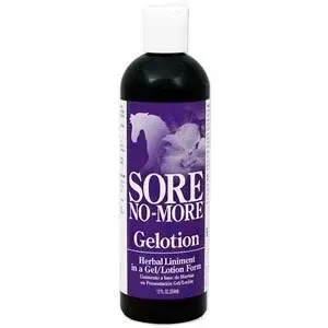 SORE NO-MORE GELOTION 12 OZ.