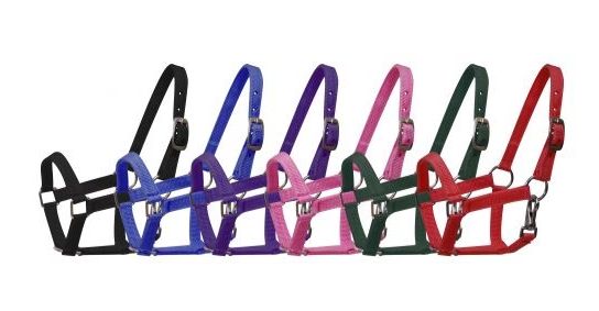 SHOWMAN MINI NYLON HALTER (ASSORTED COLORS)