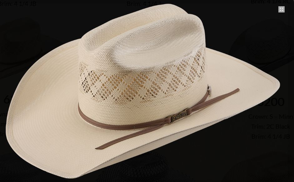 6300- 2CWHIS S-KM 56067 LO 7