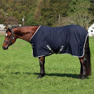 AMIGO STABLE SHEET 78